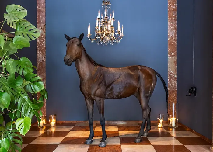 Grand Ferdinand - Your In The Center Vienna